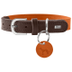 Braunes Lederhalsband mit orangefarbenem Innenfutter, silberner Schnalle, orangefarbenem ID-Anhänger mit Hundemotiv und Metallplakette 'HUNTER'.