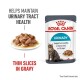 Royal Canin Urinary cat food pouch with a plate of thin slices in gravy, promoting urinary tract health in 10 days.