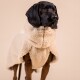 Schwarzer Hund trägt einen cremefarbenen Sherpa-Fleece-Mantel mit Kapuze und steht vor neutralem beigem Hintergrund.