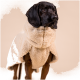 Schwarzer Hund trägt einen cremefarbenen Sherpa-Fleece-Mantel mit Kapuze und steht vor neutralem beigem Hintergrund.