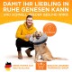 Eine Person in einem gelben Hoodie hält einen Erholungshalskragen auf einem Golden Retriever. Text: "DAMIT IHR LIEBLING IN RUHE GENESEN KANN!" Tierhood-Logo enthalten.