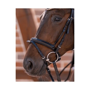 Nahaufnahme eines braunen Pferdekopfes mit einer schwarzen Trense, die sein Auge und Maul vor einem verschwommenen Hintergrund zeigt.