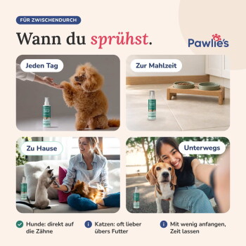 Bild, das die Zähne eines Hundes vor und nach der Zahnsteinentfernung vergleicht. Text: "Zahnstein entfernen für einen gesunden Mund und frischen Atem."