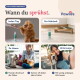 Bild, das die Zähne eines Hundes vor und nach der Zahnsteinentfernung vergleicht. Text: "Zahnstein entfernen für einen gesunden Mund und frischen Atem."