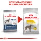 Dermacomfort Maxi 3 kg