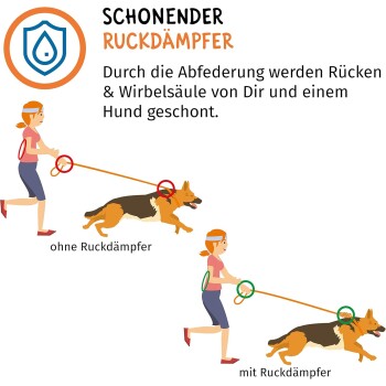 Illustration, die das Gassigehen mit und ohne Stoßdämpfer vergleicht. Der Text erklärt die Vorteile für Rücken und Wirbelsäule.