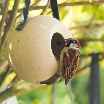 Ein Spatz sitzt am Eingang eines runden, beigen Vogelhauses, das von einem Baum hängt, umgeben von grünem Laub.