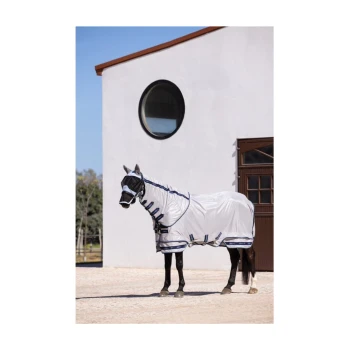 Ein Pferd mit einer hellgrauen Schutzdecke mit blauen Akzenten steht vor einem weißen Gebäude mit einem runden Fenster.