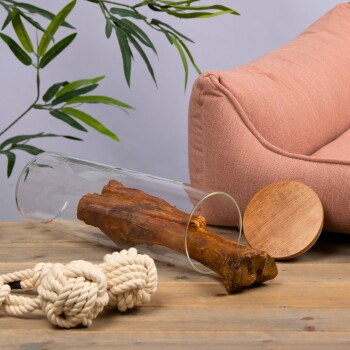 Ein Glasbehälter mit einem großen Hundekauartikel darin, einem rosa Hundebett, einem Holzbrett und zwei verknoteten Seilspielzeugen auf einer Holzoberfläche.