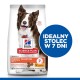Torba karmy dla psów Hill's Science Plan dla psów średniej wielkości, z Border Collie i napisem "Idealne trawienie" w niebieskim okręgu.
