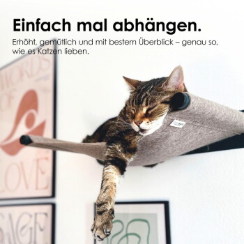 Getigerte Katze schläft auf wandmontiertem Regal mit herabhängender Pfote; sichtbare deutsche Schlagzeile 'Einfach mal abhängen.' und kleiner Text