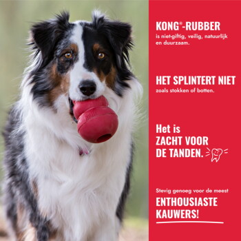 Hond die een rood KONG-speelgoed vasthoudt; rood paneeltekst: 'KONG®-RUBBER', 'HET SPLINTERT NIET', 'ZACHT VOOR DE TANDEN', 'ENTHOUSIASTE KAUWERS!'