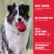 Hond die een rood KONG-speelgoed vasthoudt; rood paneeltekst: 'KONG®-RUBBER', 'HET SPLINTERT NIET', 'ZACHT VOOR DE TANDEN', 'ENTHOUSIASTE KAUWERS!'