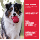 Hond die een rood KONG-speelgoed vasthoudt; rood paneeltekst: 'KONG®-RUBBER', 'HET SPLINTERT NIET', 'ZACHT VOOR DE TANDEN', 'ENTHOUSIASTE KAUWERS!'