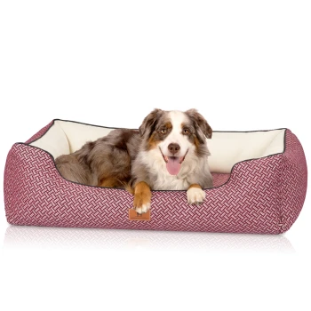 orthopädisches Design Hundebett Sanford rot XXXL Ein glücklicher Australian Shepherd Hund, der in einem stilvollen, rot-weiß gemusterten Haustierbett mit cremefarbenem Innenraum entspannt.