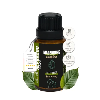Flasche "Belly Bliss" Bachblütenmittel für Hunde und Katzen, beschriftet mit "Magenruhe" mit einem grünen Blätterdesign, mit Produktbewertungen und -ansprüchen.