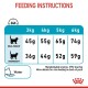 Feeding instructions chart for cats, detailing daily food amounts based on weight (3kg to 6kg) for ideal and overweight categories.