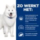 Een glimlachende, pluizige witte Samojeed met een blauwe halsband naast tekst die voordelen van huisdiervoeding opsomt zoals omega-3's en glucosamine.