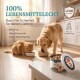 Tierfutterbehälter auf einem Tisch mit dem Text: "Verschiedene Größen & Designs" und "Bitte wählen Sie das richtige Modell."
