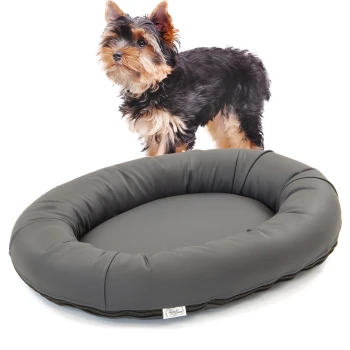 Ein kleiner schwarz-brauner Yorkshire Terrier steht neben einem runden, grauen Hundebett mit gepolstertem Rand, das ein schlankes Design zeigt.