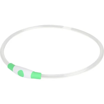 Ein transparenter Haustierhalsband mit einem grünen und weißen Knopf, entworfen für Sichtbarkeit und Sicherheit.