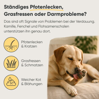 Produktbild von Hundefutter mit einer runden, braunen Pellet umgeben von Kräutern und Zutaten. Text hebt Vorteile für die Verdauung hervor.
