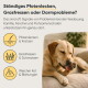 Produktbild von Hundefutter mit einer runden, braunen Pellet umgeben von Kräutern und Zutaten. Text hebt Vorteile für die Verdauung hervor.