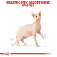Illustratie van een Sphynx kat met prominente kenmerken, gelabeld 'RASSPECIFIEK ASSORTIMENT: SPHYNX' bovenaan.