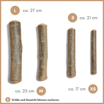 Vier natürliche Holzstäbe für Haustiere, beschriftet mit L (27 cm), M (25 cm), S (21 cm) und XS (18 cm), auf einem weißen Hintergrund präsentiert.