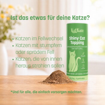 Grüne KatKare-Dose „Shiny Cat Topping“ mit Pulver, deutsche Überschrift ‚Ist das etwas für deine Katze?‘