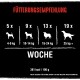 Tableau d'alimentation pour chiens par poids : 4-9 kg (5x), 10-14 kg (9x), 15-24 kg (13x), 25 kg+ (19x). Comprend des informations sur les kcal et des avertissements.