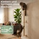 Zwei Katzen auf einem wandmontierten Sisal-Kratzpfahl; sichtbarer Text 'Klettern und Springen ohne Wackeln' und 'bis zu 24,7 kg'