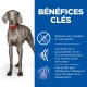 Chien gris avec un collier rouge ; avantages : sans gluten, glucosamine et chondroïtine pour les articulations, Omega-6 et vitamine E pour la santé de la peau.