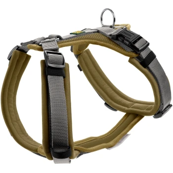 Geschirr Maldon Up oliv XS Ein strapazierfähiges Hundegeschirr in Beige und Grau, mit verstellbaren Riemen, einem gepolsterten Design für Komfort und einem Metall-D-Ring zur Leinenbefestigung.