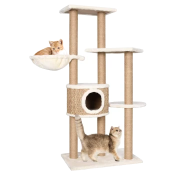Ein mehrstöckiger Katzenbaum mit zwei Katzen; eine orangefarbene getigerte Katze, die in einer Hängematte liegt, und eine graue getigerte Katze, die die Basis erkundet.