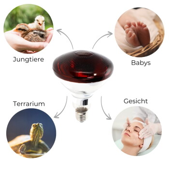 Rote Wärmelampen-Glühbirne mit Pfeilen zu Fotos, die mit 'Jungtiere', 'Babys', 'Terrarium', 'Gesicht' beschriftet sind.