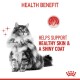 A fluffy cat with a shiny coat sits upright, accompanied by text stating "Helps support healthy skin & a shiny coat" and "Health Benefit."