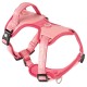 Pink verstellbares Hundegeschirr mit gepolsterten Riemen und schwarzen Schnallen, mit Metall-D-Ring und "Julius-K9" Logo.