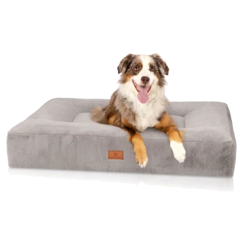 Ein glücklicher Australian Shepherd Hund liegt auf einem plüschigen grauen Hundebett mit einem kleinen Lederetikett, das ein Hundelogo zeigt.