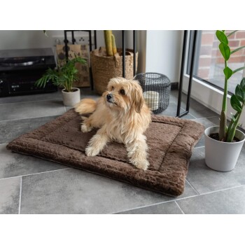 Ein flauschiger Hund ruht auf einem braunen Haustierbett in einem modernen Wohnraum mit grauem Fliesenboden, Topfpflanzen und einer gemütlichen Atmosphäre.