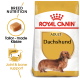 Royal Canin Adult Dachshund dog food bag featuring a dachshund illustration, with text highlighting breed nutrition and joint support.