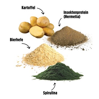 Bild, das vier Zutaten für Haustierfutter zeigt: ganze Kartoffeln, Insektenprotein (Hermetia), Bierhefe und Spirulina, jeweils mit Pfeilen beschriftet.