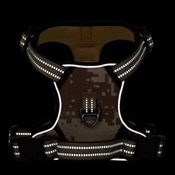 Eine gerollte schwarze und goldene Haustierleine mit reflektierenden Streifen und einem stabilen schwarzen Clip zur Befestigung.