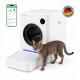 Eine neugierige getigerte Katze, die aus einer modernen weißen Haustierwaschmaschine schaut, mit einem Smartphone, das eine Haustierpflege-App daneben zeigt.
