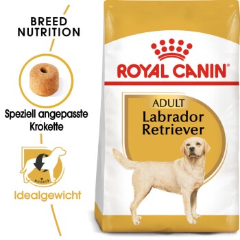 Labrador Retriever Adult 3kg