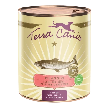 Eine Dose Terra Canis Hundefutter mit einer Lachsillustration, beschriftet "Classic" mit dem Text "Lachs mit Hirse, Pfirsich & Kräutern."