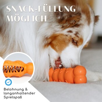 Ein Hund, der auf einem orangefarbenen Snackfüllspielzeug kaut, mit dem Textüberlagerung "SNACK-FÜLLUNG MÖGLICH" und "Belohnung & langanhaltender Spielspaß."