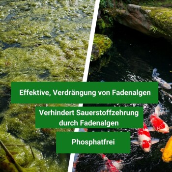 Bild geteilt: links zeigt mit Algen bedecktes Wasser, rechts klares Wasser mit Koi-Fischen. Der Text betont die Algenentfernung und die phosphatfreie Formel.
