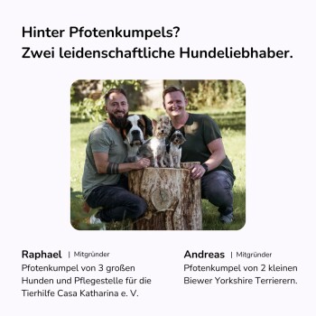 Eine Hand bildet ein Herz mit der Pfote eines Hundes. Deutscher Text listet Ausschlüsse auf: "100% ohne: Getreide, Zucker, tierische Inhaltsstoffe." Weicher lila Hintergrund.