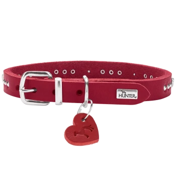 Rotes Lederhalsband mit Nieten, silberner Schnalle und Herzanhänger; Metallplakette mit der Aufschrift 'HUNTER'.